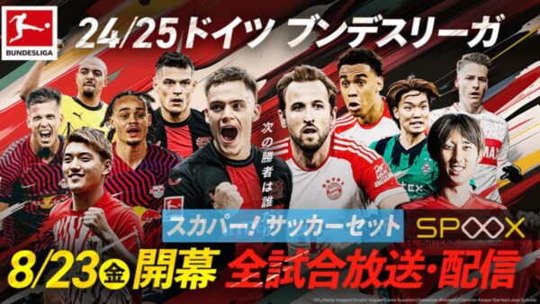 スカパー!で視聴できる試合と視聴料